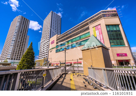 日本相模原市街景,橋本車站前聚集的鴿子=21日 日本相模原市街景,橋本車站前聚集的鴿子=21日 116101931