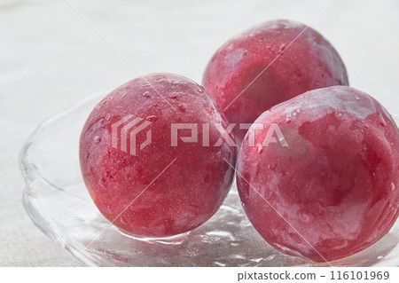Plum Plum 116101969