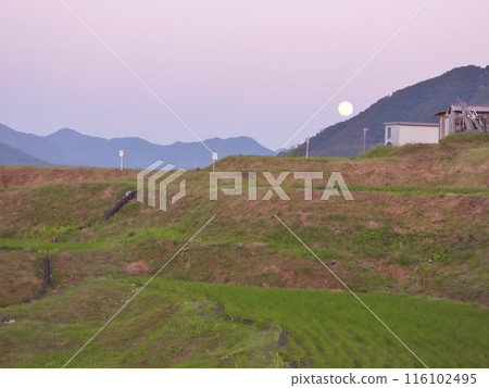 Strawberry Moon Rise 116102495