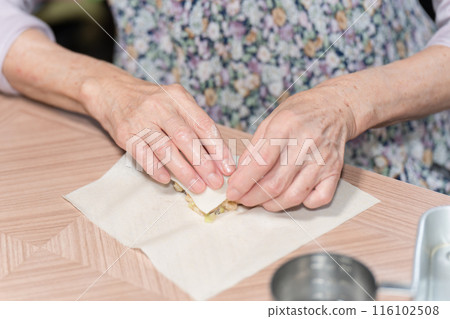 Senior woman making spring rolls 116102508