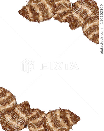 水彩畫秋芋插畫素材豎框 116102509