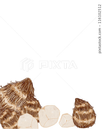 水彩畫秋芋插畫素材豎框 116102512