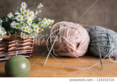 Yarn balls and basket of white daises on wooden table. Knitting hobby. Wool yarn and knitting needles with flowers. Cozy interior. Needlework concept. Beige and grey threads with chamomile.  116102516