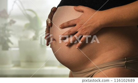 Third trimester of pregnancy. A pregnant woman gently cuddles her developed belly, wearing beige underwear and an elevated black top. The background is a blur of indoor plants on a windowsill. Third trimester of pregnancy. A pregnant woman gently cuddles her developed belly, wearing beige underwear and an elevated black top. The background is a blur of indoor plants on a windowsill. 116102689