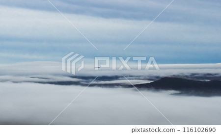A forested mountain range sticking out of the fog. Serene cloud landscape. A serene landscape with a vast expanse of clouds and a small forest surface looming, evoking a sense of peaceful solitude. A forested mountain range sticking out of the fog. Serene cloud landscape. A serene landscape with a vast expanse of clouds and a small forest surface looming, evoking a sense of peaceful solitude. 116102690