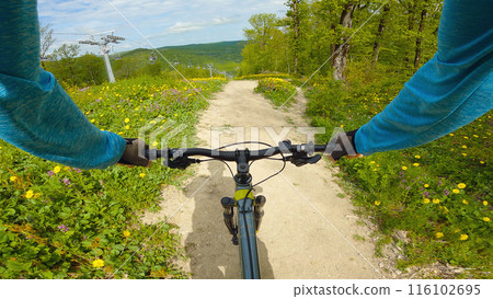 A first-person view of a mountain biking adventure. The trail is surrounded by green foliage and yellow wildflowers. A lift line can be seen on the left, suggesting a multi-purpose mountain resort. A first-person view of a mountain biking adventure. The trail is surrounded by green foliage and yellow wildflowers. A lift line can be seen on the left, suggesting a multi-purpose mountain resort. 116102695