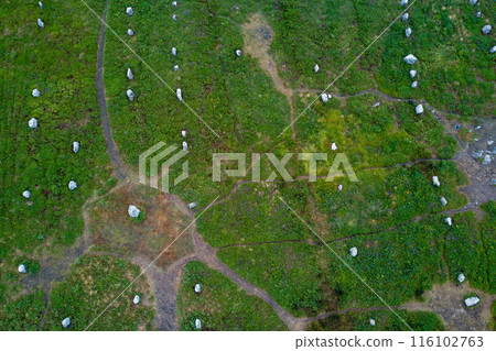 Aerial view of the Carnac stones in Brittany Aerial view of the Carnac stones in Brittany 116102763
