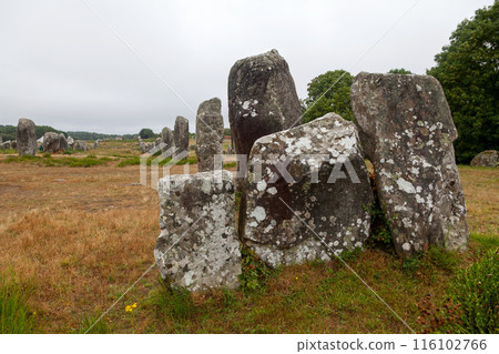 The Carnac stones in Brittany 116102766