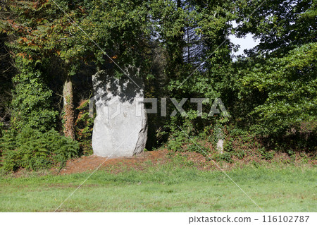 The Kerelcun menhir in La Feuillee 116102787