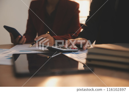 Business people are analyzing and planning business strategies. 116102897