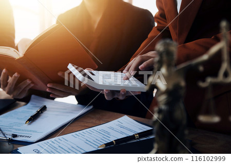 Mediation client meeting lawyer consulting government help, Businessman and Male lawyer or judge consult having team meeting with client, Law and Legal services concept. 116102999