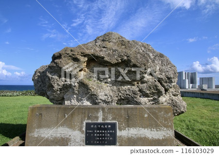 Scallop fossils (Sarufutsu Village, Hokkaido) 116103029