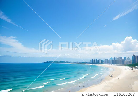 在陽光明媚的沙灘上觀光享受夏天 116103208
