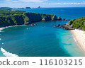 在熱帶夏季國家享受大自然和大海 116103215