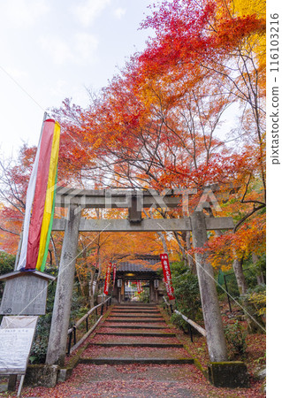 秋季京都的宗林院（山科書店），秋葉美麗 116103216