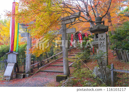 秋季京都的宗林院（山科書店），秋葉美麗 116103217