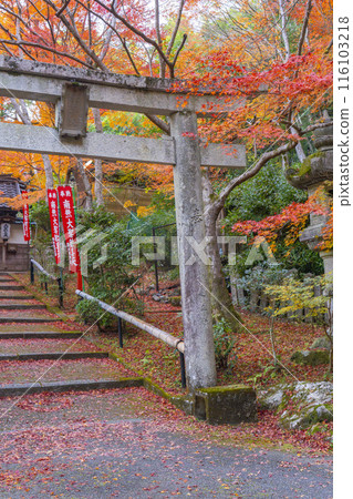 秋季京都的宗林院（山科書店），秋葉美麗 116103218