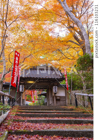 Autumn in Kyoto: Beautiful autumn leaves at Sorin-in Temple (Yamashina Shoten) 116103231