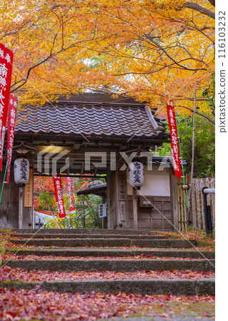 Autumn in Kyoto: Beautiful autumn leaves at Sorin-in Temple (Yamashina Shoten) 116103232