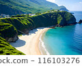 在熱帶島嶼上享受自然和大海 116103276