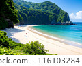 壯觀的海灘與藍天和大海 116103284
