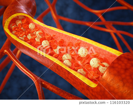 Coronavirus and blood cells 116103320