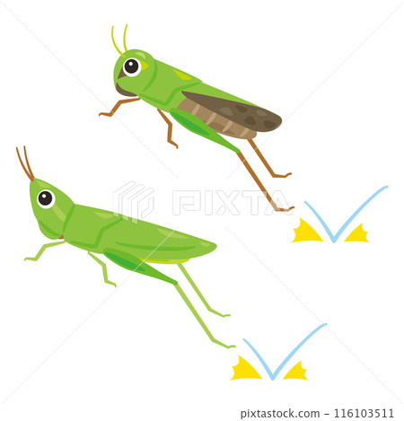Jumping Grasshopper 116103511