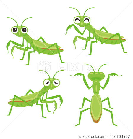 真納基重置 真納基重置 116103597