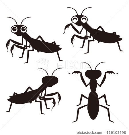 Mantis silhouette 116103598