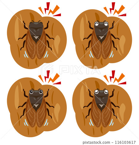 Cicada set chirping Cicada set chirping 116103617