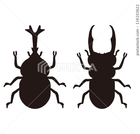 雄性甲蟲和鍬蟲剪影 雄性甲蟲和鍬蟲剪影 116103622