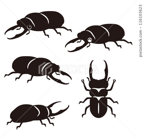 雄性鍬蟲剪影 116103623