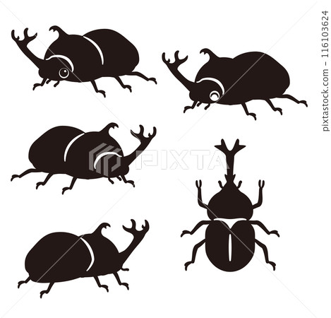 雄性甲蟲剪影 雄性甲蟲剪影 116103624