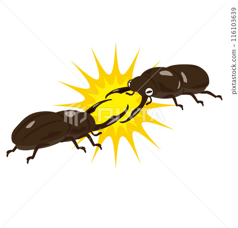 Fighting Stag Beetle 116103639