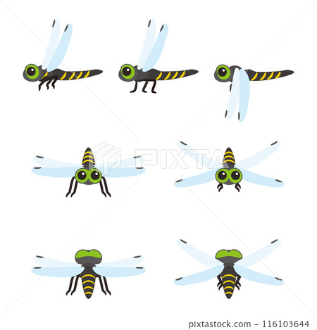 奧尼瑪套裝 116103644