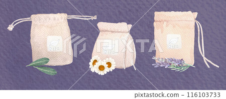 Sage leafs, cowberry, chamomile and lavender watercolor set on purple background. High quality hand drawn art great for cards, packages, tea, infusions, herbal medicine recipes, stickers, textile 116103733