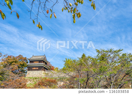 Ueda Castle Ruins Park, West Tower, Autumn Leaves, An impregnable castle that was attacked twice by the Tokugawa army but never fell 116103858