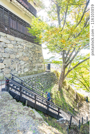 Ueda Castle Ruins Park, West Tower, Steep Stairs Ueda Castle Ruins Park, West Tower, Steep Stairs 116103859