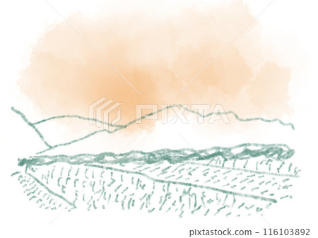 被夕陽染紅的天空、山脈和稻田的線條描插圖 116103892