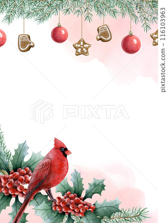 Vertical Christmas greeting card template with red cardinal bird, holly berries and pine branches with decoration. Hand drawn watercolor illustration for A5 or A4 postcard with copy space Vertical Christmas greeting card template with red cardinal bird, holly berries and pine branches with decoration. Hand drawn watercolor illustration for A5 or A4 postcard with copy space 116103963