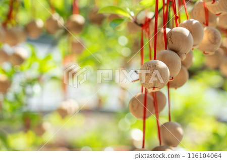 奈良縣飛鳥村岡寺味寺迴廊的龍珠許願球 116104064