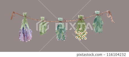 Different herbs drying hanging on a rope. Chamomile, lavender, sage, lemon balm watercolor border isolated on muted brown. High quality art for cards, packages, folk medicine recipes, herbal design 116104232