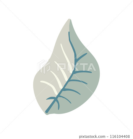 Folk plant. Plain gray sheet. Autumn botany. Minimalist style. Flat isolated vector illustration 116104408
