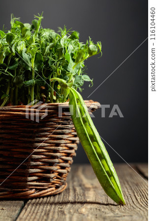 Fresh pea pods and microgreen sprouts. Fresh pea pods and microgreen sprouts. 116104460