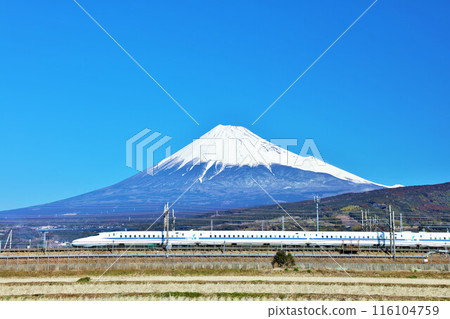 Shizuoka Prefecture: Mt. Fuji and the Shinkansen under a blue sky 116104759