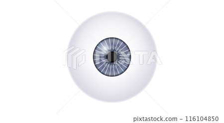 Iris medical poster 116104850