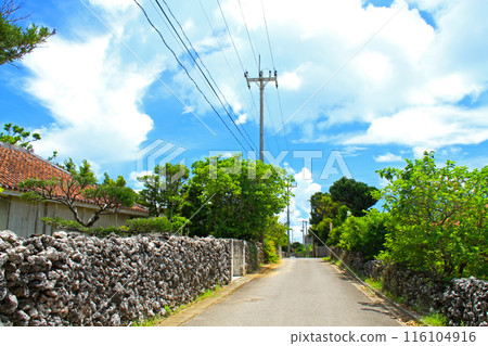 Okinawa, Kohama Island, Yaeyama 116104916