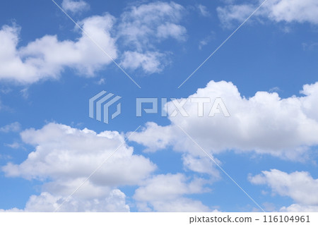 夏天的藍天白雲 116104961