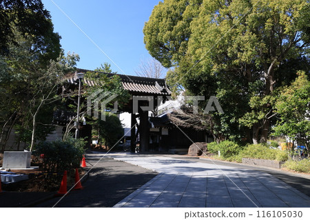 神奈川縣橫濱市鶴見區總持寺風景 神奈川縣橫濱市鶴見區總持寺風景 116105030