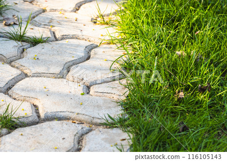 Cobbled park lane and green grass. Decorative concrete blocks 116105143